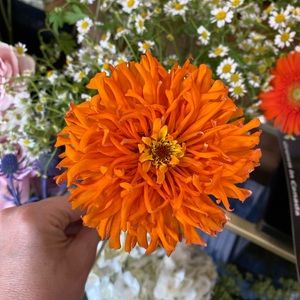 Meet your Posher, Teresa